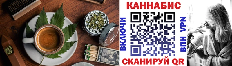 закладка Коряжма Cannafood конопля