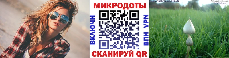 Галлюциногенные грибы Cubensis  цены   Коряжма 